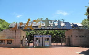 千葉市動物公園 千葉市動物公園