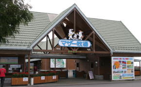 マザー牧場 マザー牧場